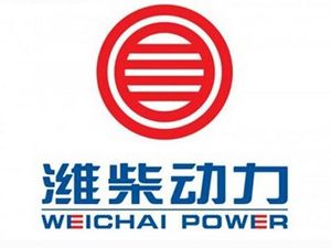 ���x���ؿ͑�(h��)���H���(d��ng)���ɷ����޹�˾